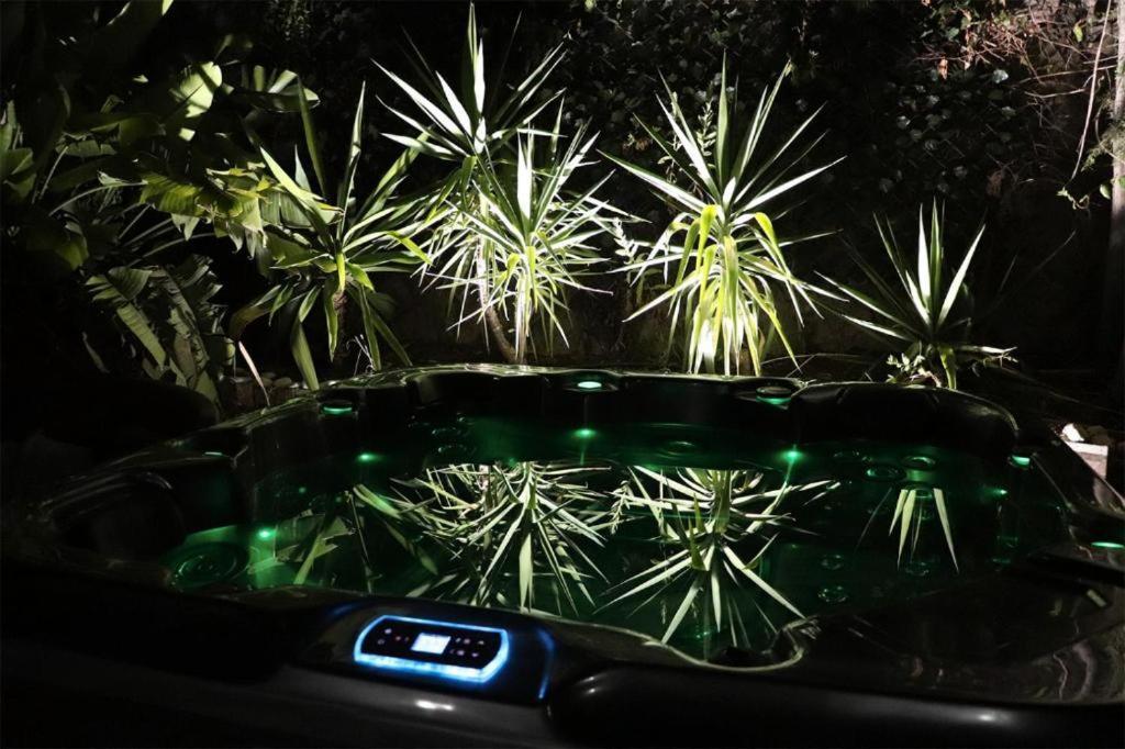 Luxury Jacuzzi Home & Terraces มาลากา ภายนอก รูปภาพ